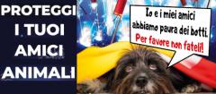 noaibotti